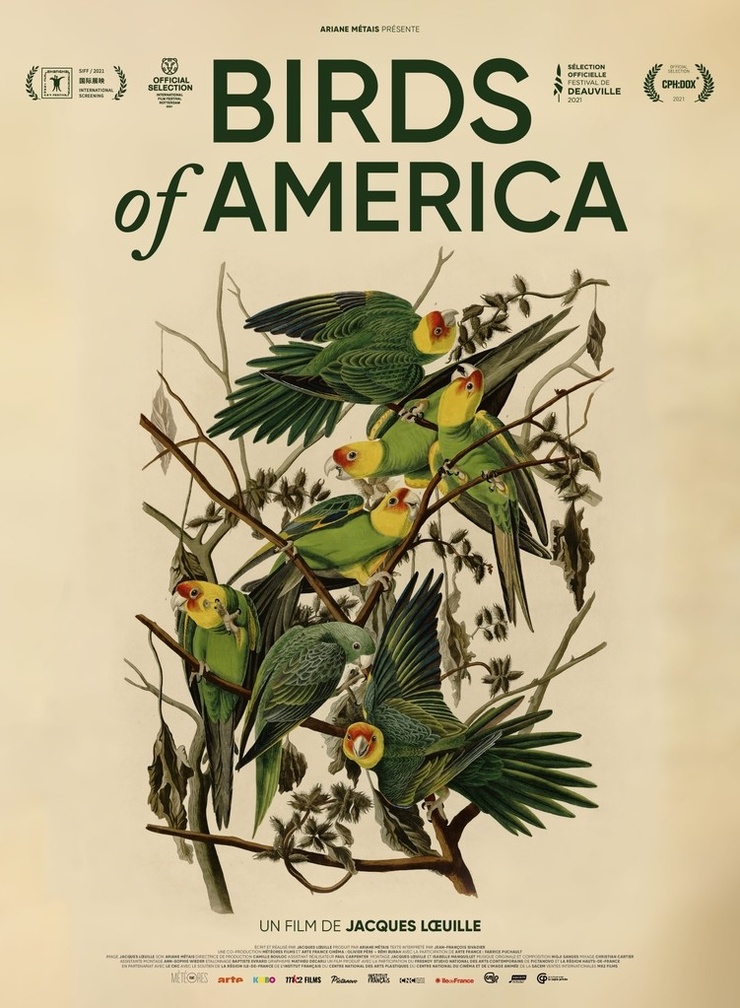Birds of America (2022) Birds of America (2022)