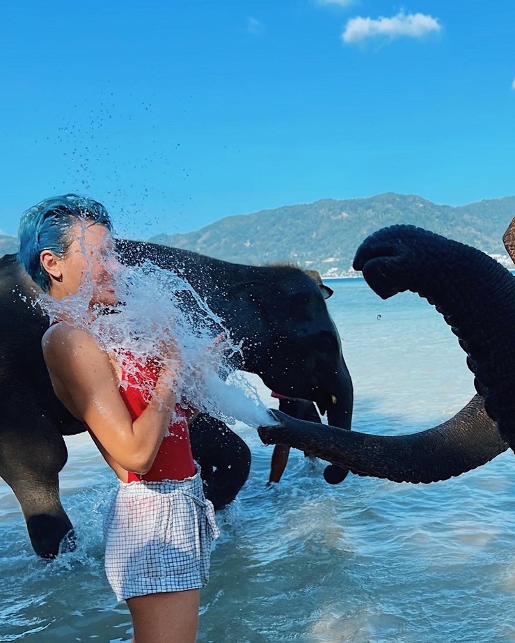 Wallis Day