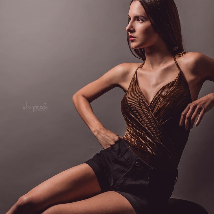Luisa Rodriguez I