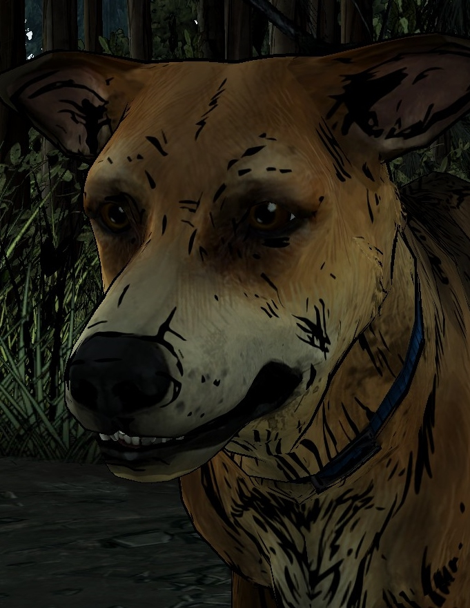 Sam
