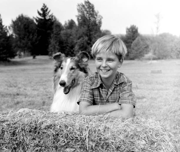 Lassie