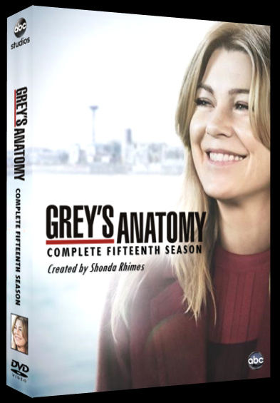 Grey's Anatomy Season 15 Image