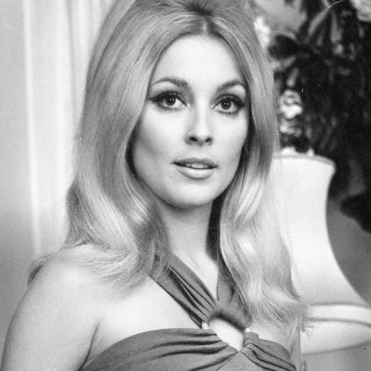 Picture of Sharon Tate