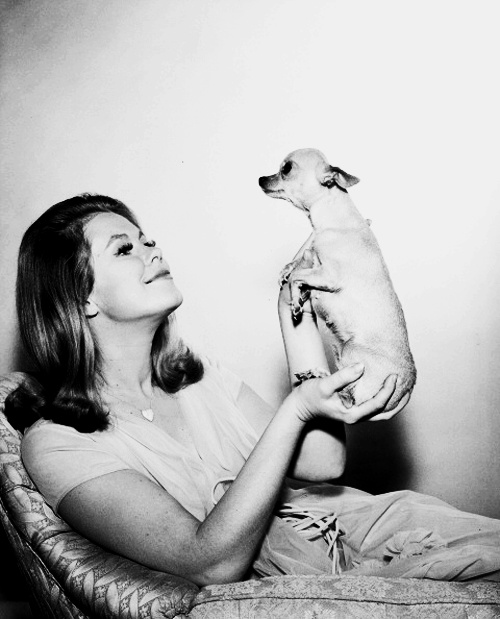 Elizabeth Montgomery