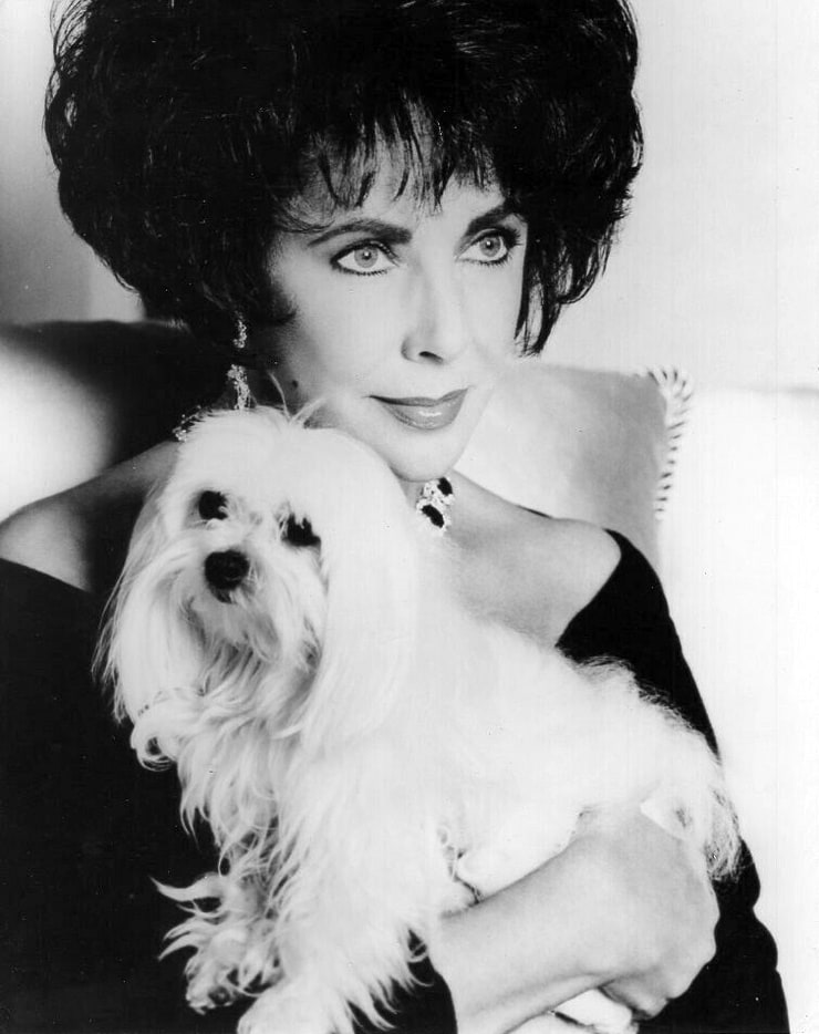 Elizabeth Taylor