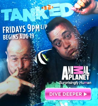 Tanked