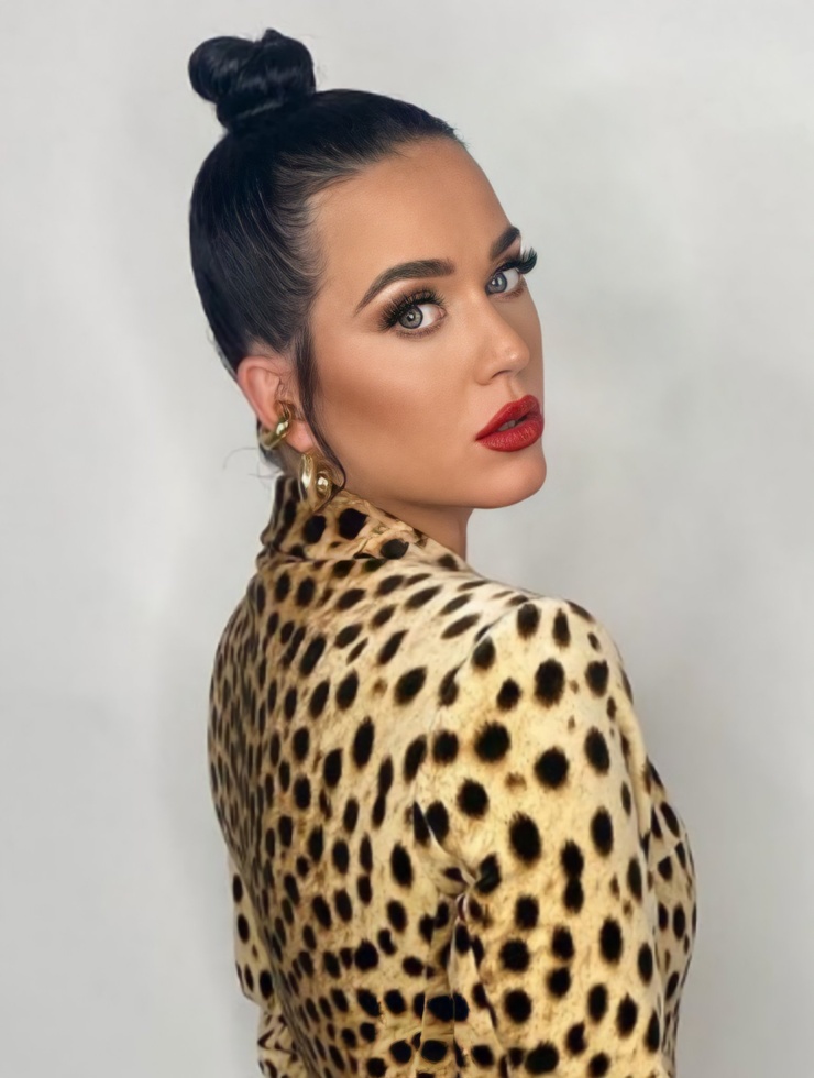 Katy Perry Katy Perry