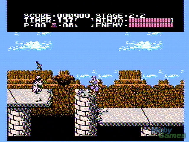 Ninja Gaiden