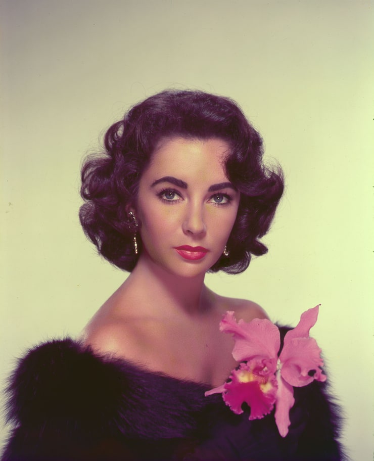 Elizabeth Taylor image