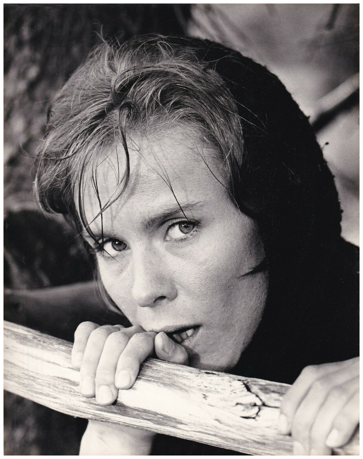 Bibi Andersson Bibi Andersson