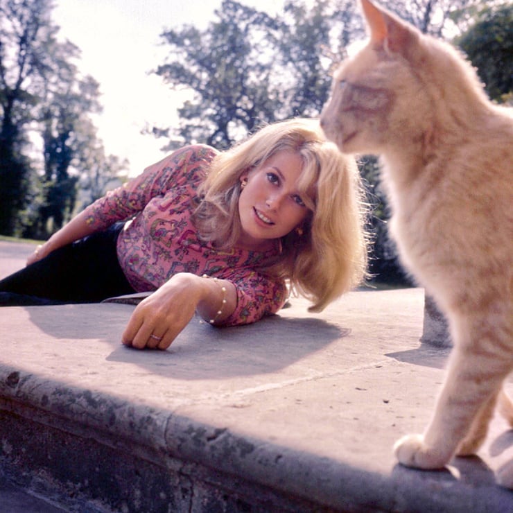 Catherine Deneuve Catherine Deneuve