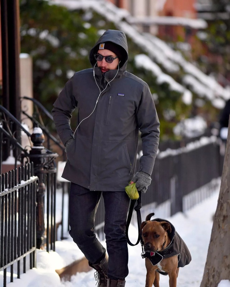 Adam Driver
