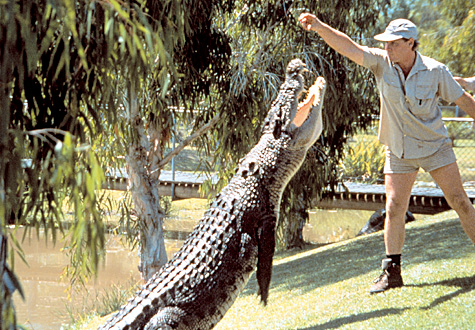 Crocodile Hunter Crocodile Hunter