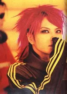 Hide