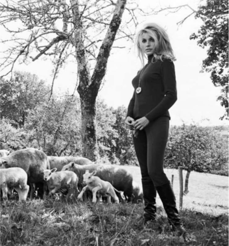 Sharon Tate