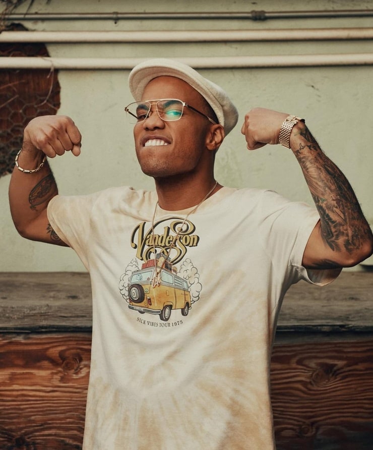 Anderson Paak image