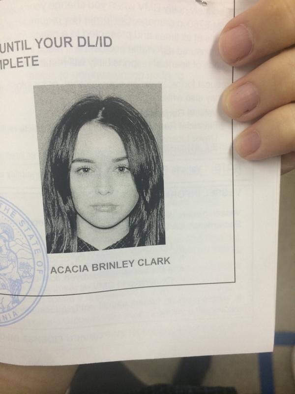 Acacia clark