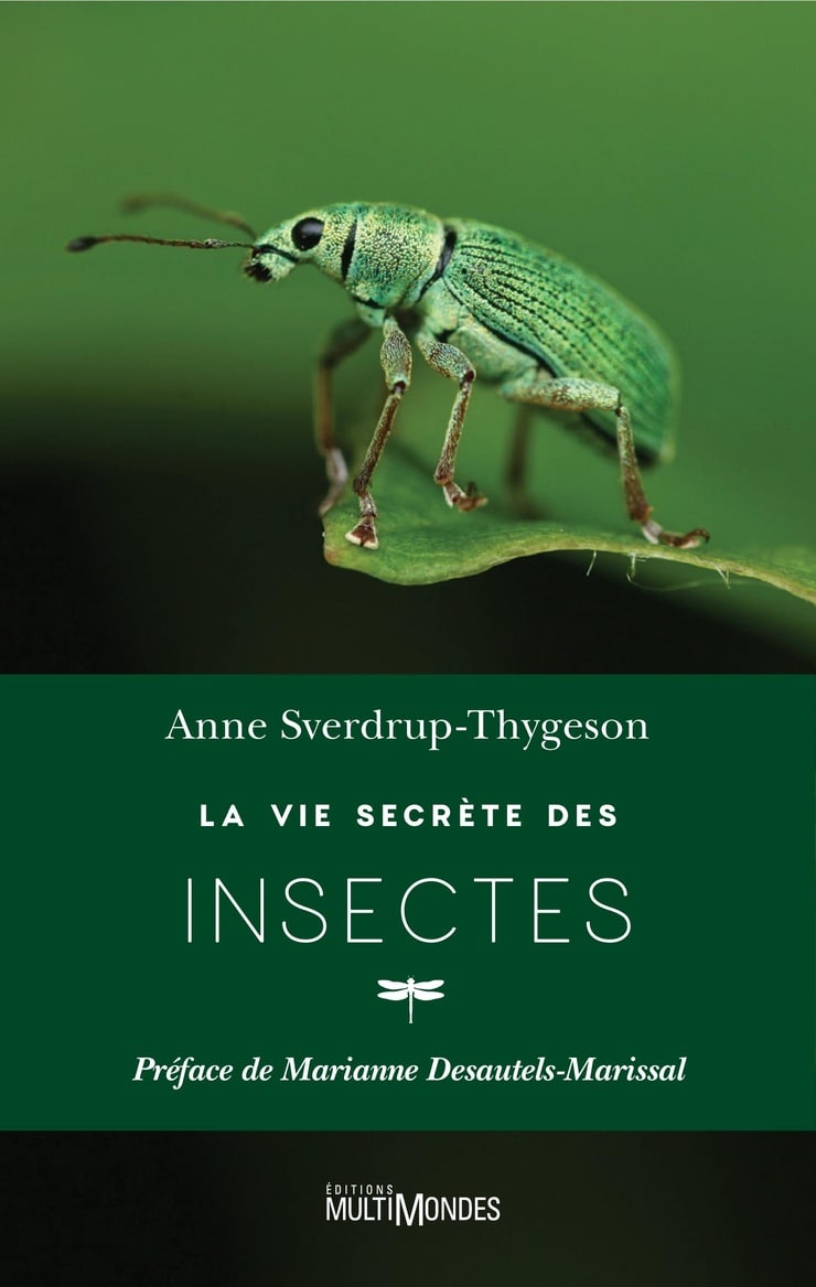 La vie secrète des insectes