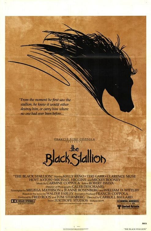 The Black Stallion