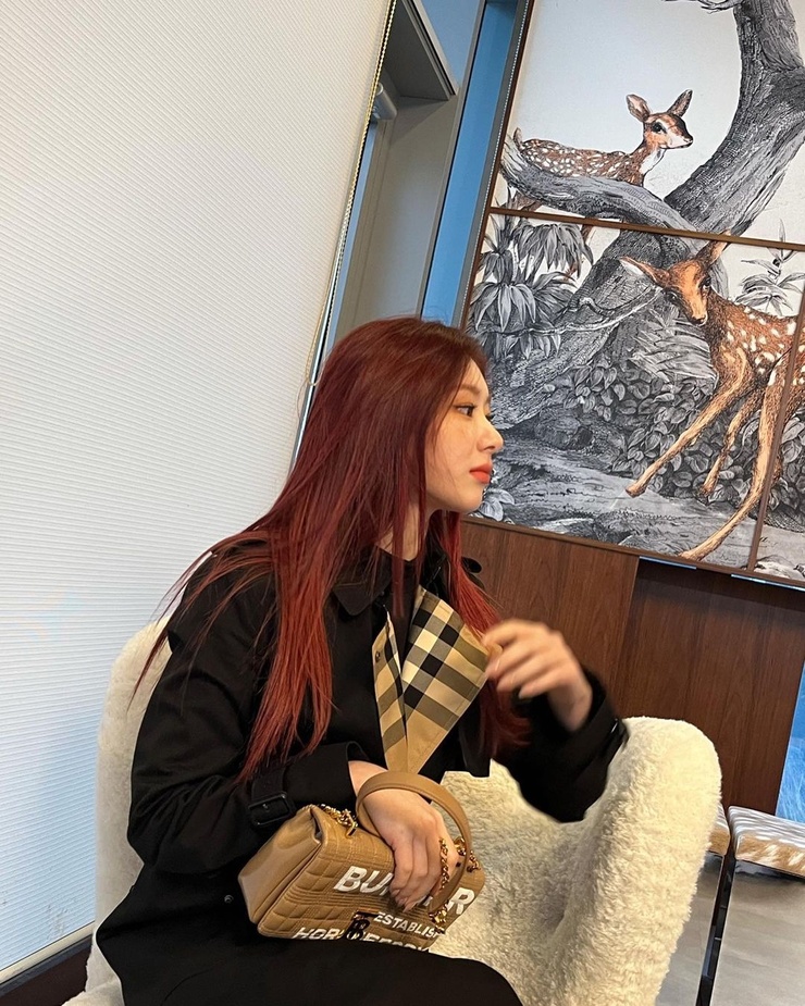 Lee Chaeryeong
