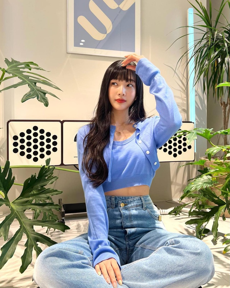 Joy (Park Soo Young)