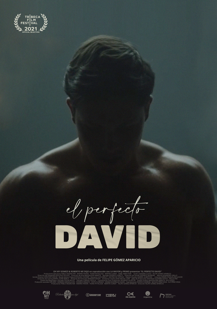 The Perfect David