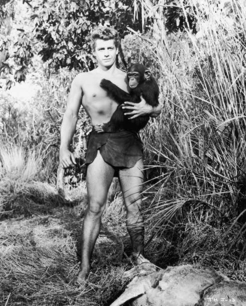 Tarzan's Hidden Jungle Tarzan's Hidden Jungle