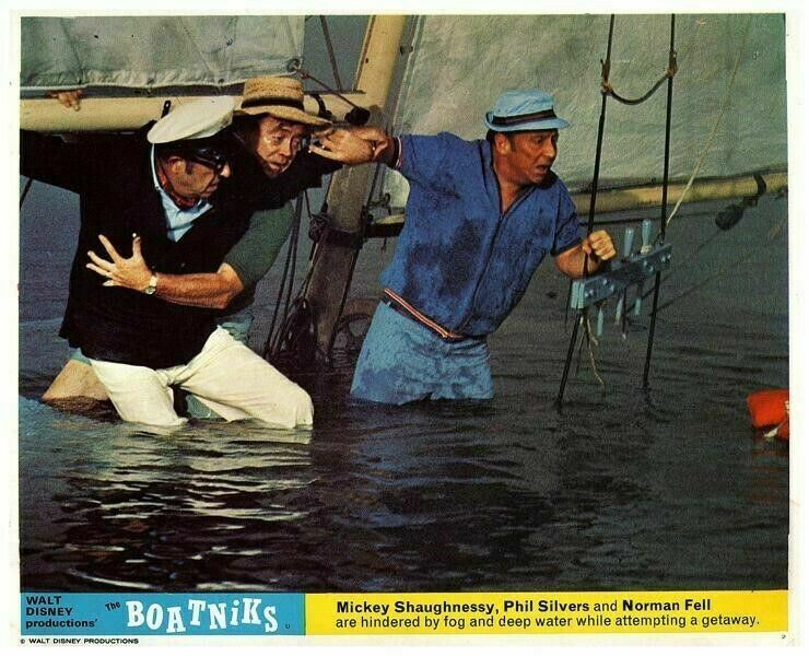 The Boatniks