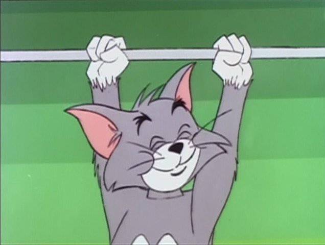The Tom & Jerry Show