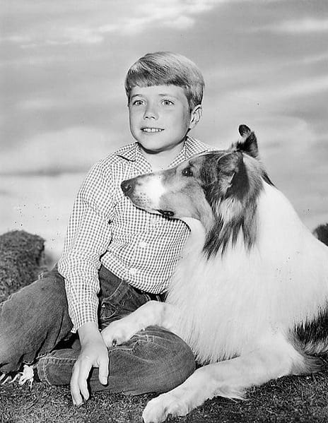 Jon Provost