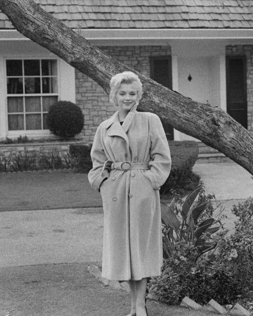 Marilyn Monroe Marilyn Monroe