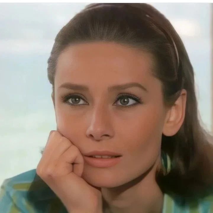 Two for the Road (1967)