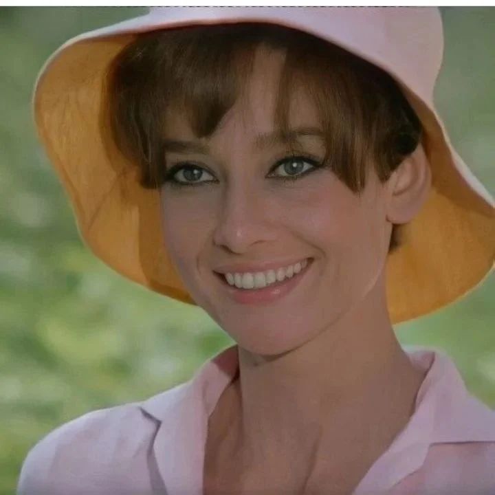 Two for the Road (1967)