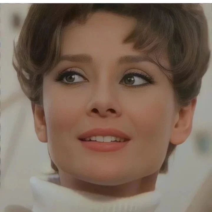 Two for the Road (1967)