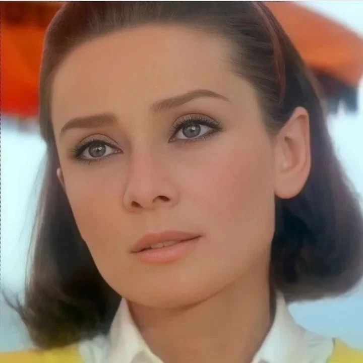 Two for the Road (1967)