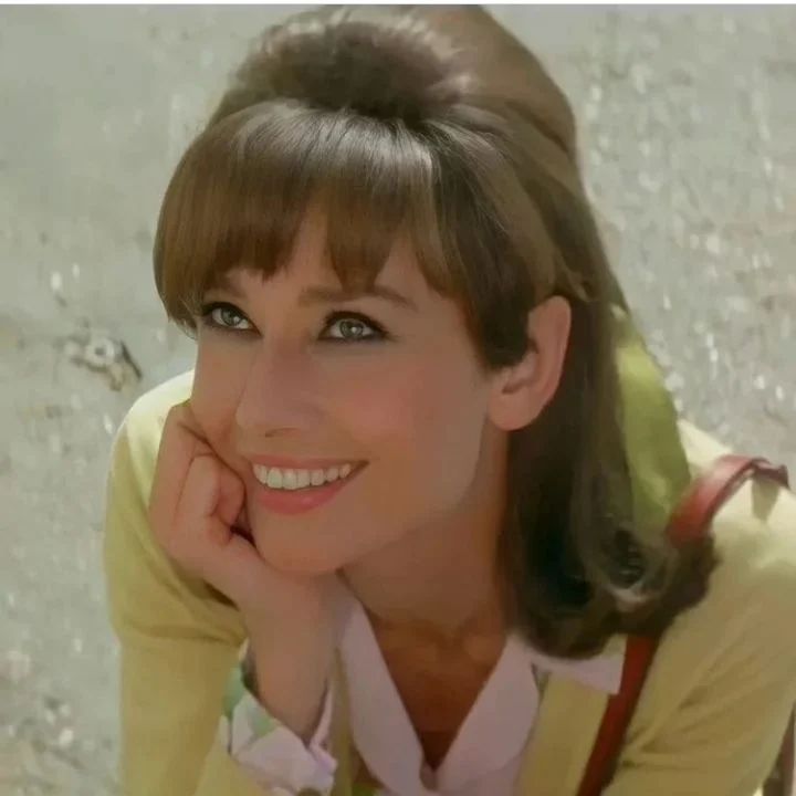 Two for the Road (1967)