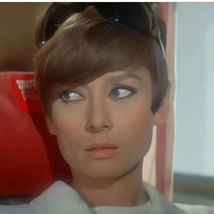 Two for the Road (1967)