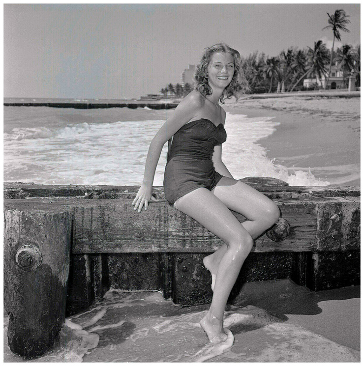 Alta Whipple