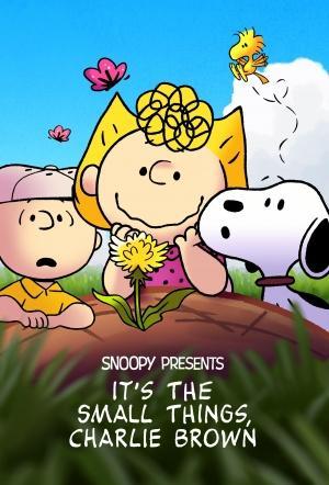 Snoopy presents: It's the Small Things, Charlie Brown (2022)