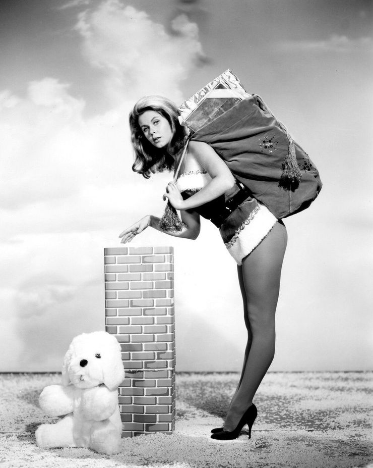 Elizabeth Montgomery Elizabeth Montgomery