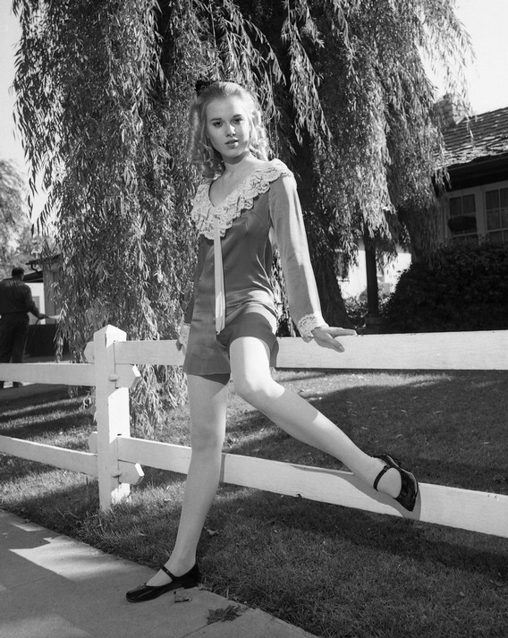 Lee Purcell