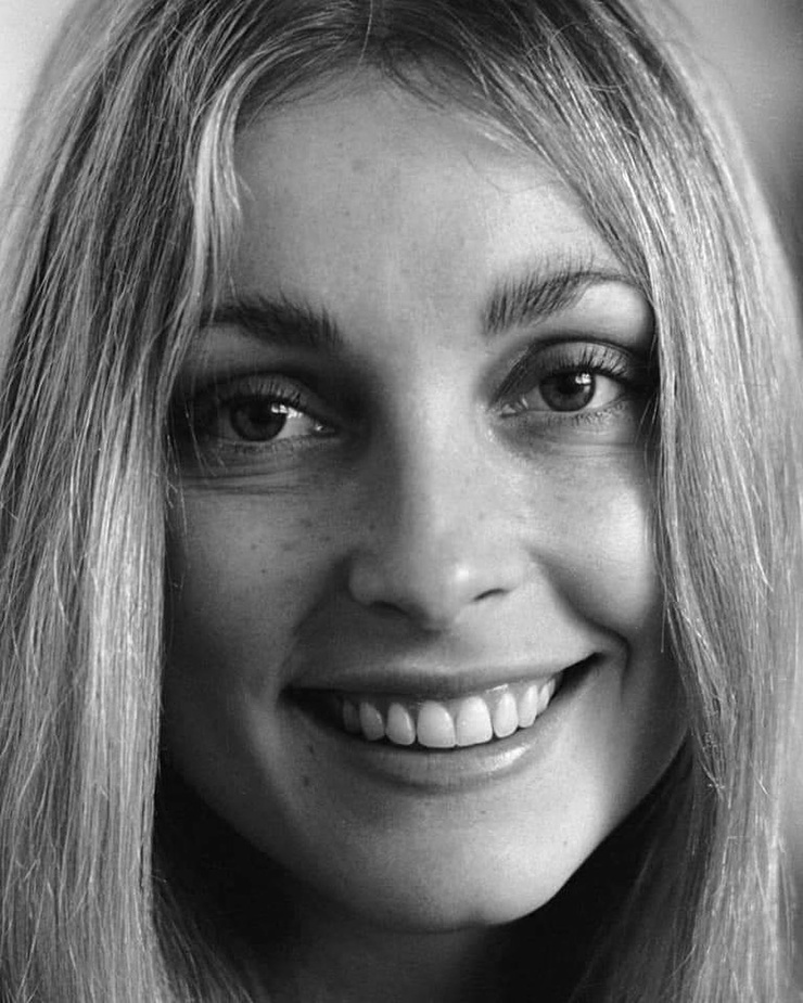 Picture of Sharon Tate