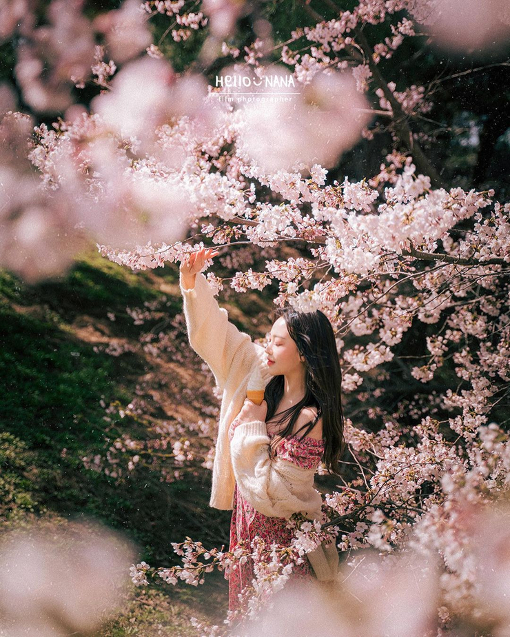 Seyeong