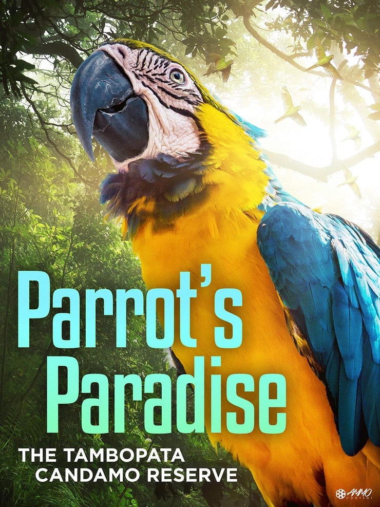 Parrots in Paradise