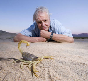 David Attenborough David Attenborough