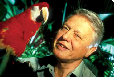 David Attenborough