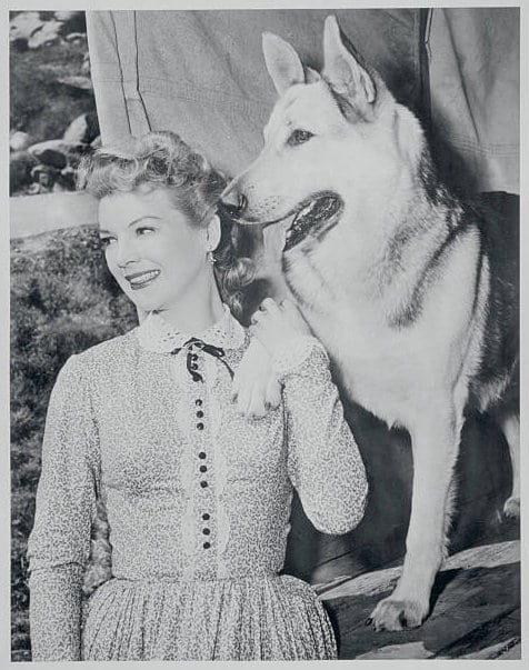 Nan Leslie Nan Leslie