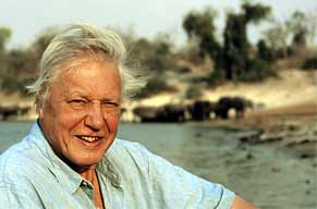 David Attenborough David Attenborough