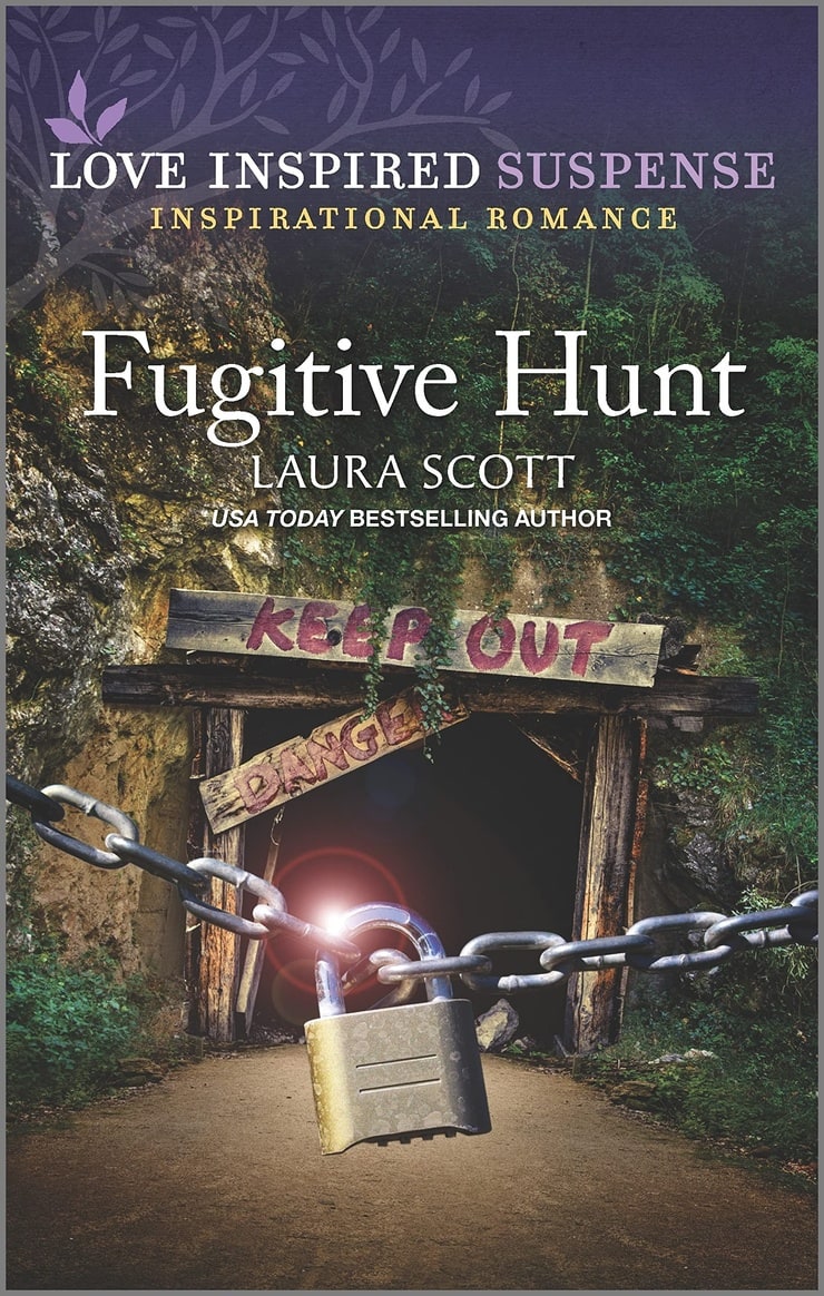 Fugitive Hunt (Justice Seekers, 6)