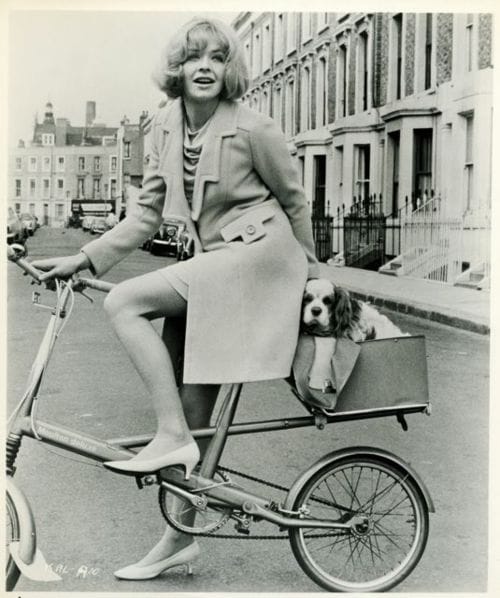 Susannah York